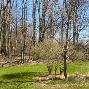 Meet your Posher, Meghan